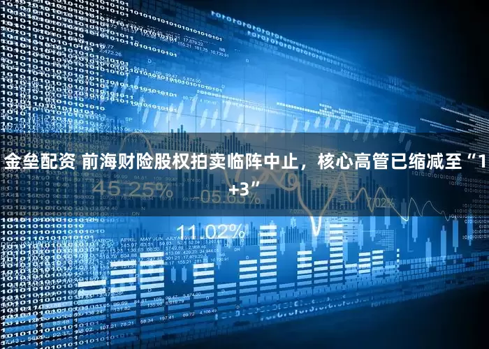 金垒配资 前海财险股权拍卖临阵中止，核心高管已缩减至“1+3”